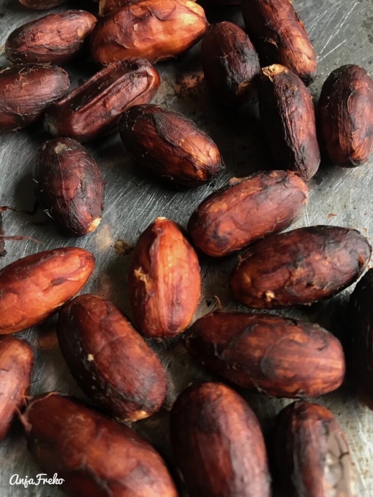 Fertige, geröstete Kakaobohnen