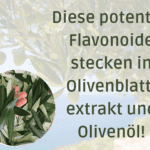 Olivenblattextrakt und Olivenöl