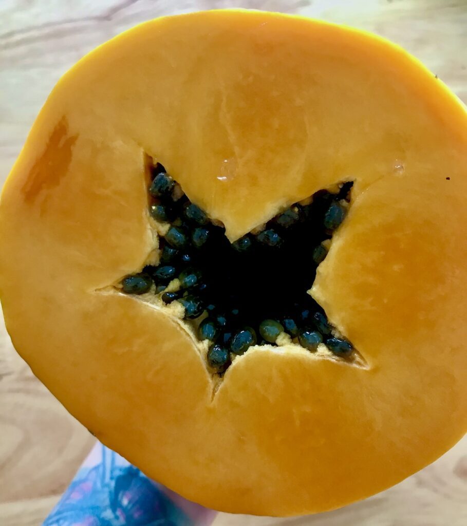 Papaya und Verdauungsenzym Papain