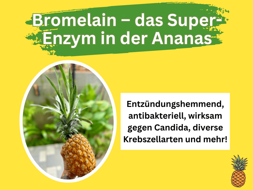 Bromelain in Ananas