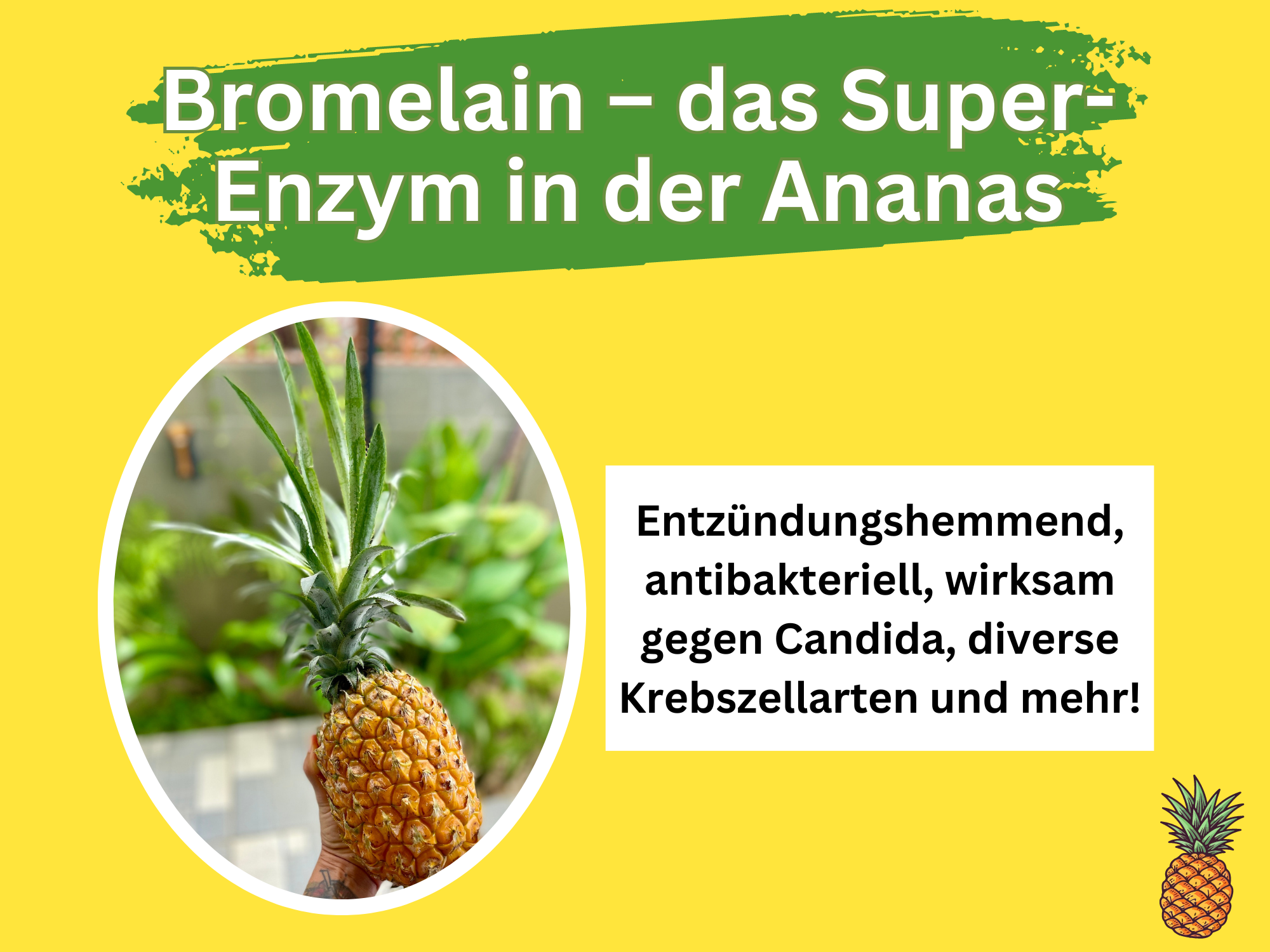 Bromelain in Ananas: Power-Enzyme für deine Gesundheit!