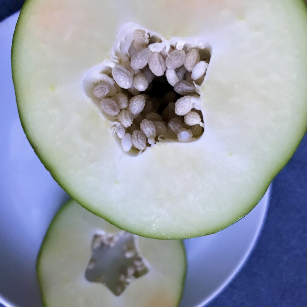 Grüne, unreife Papaya mit Papain