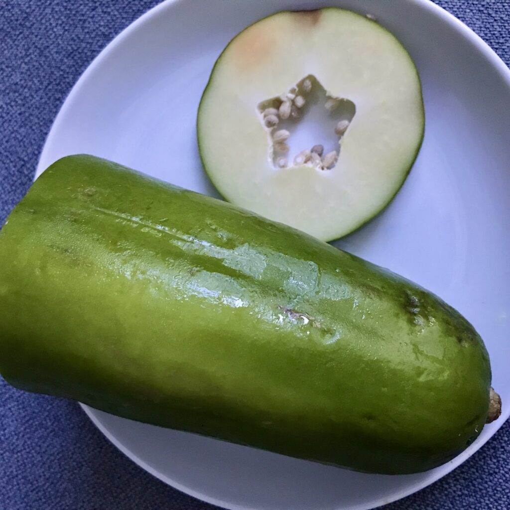 Grüne, unreife Papaya mit Papain