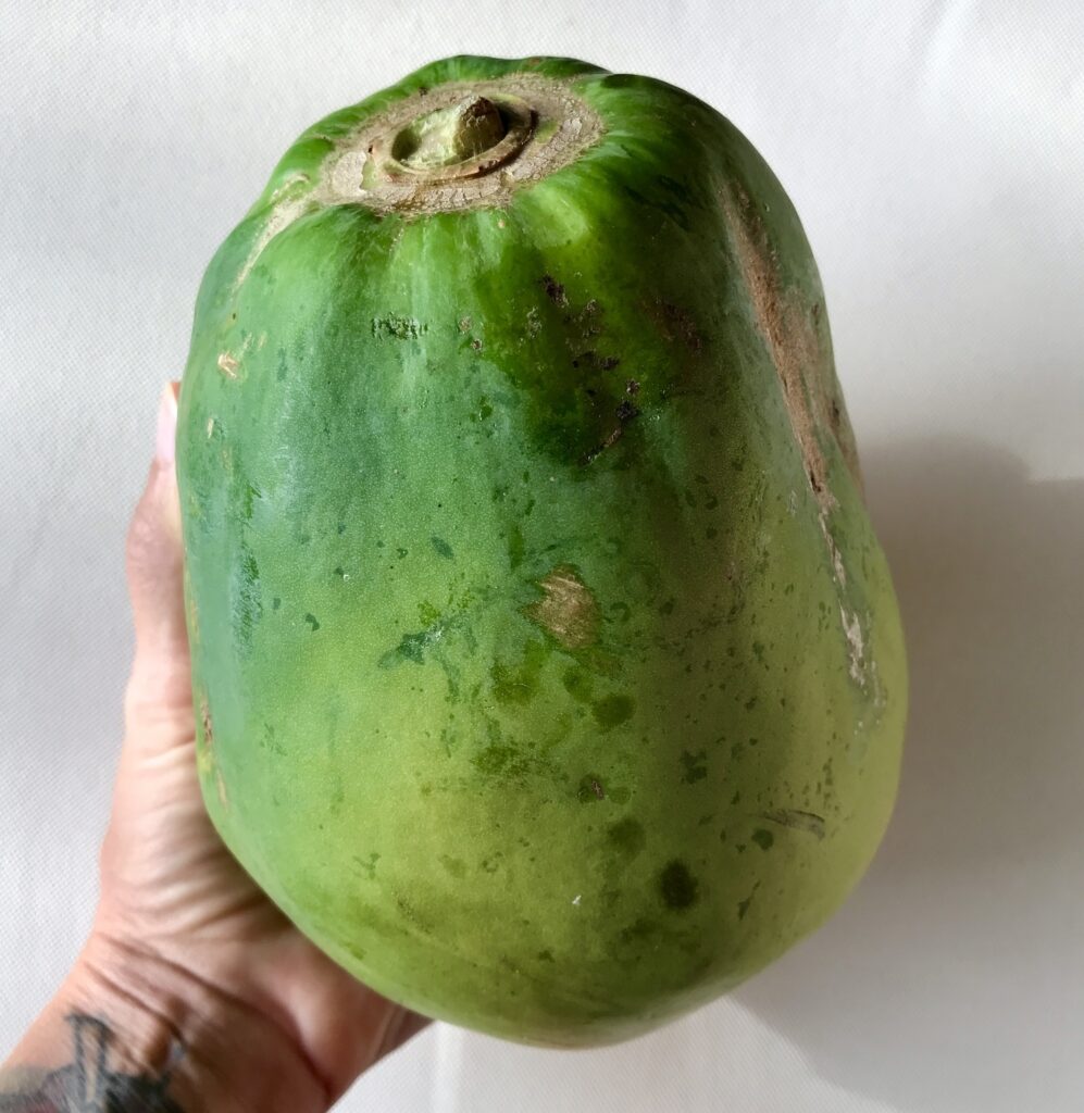 Unreife Papaya, Papain, Vietnam