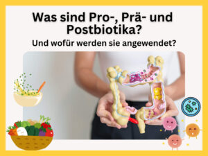 Probiotika Praebiotika Postbiotika für die Darmgesundheit