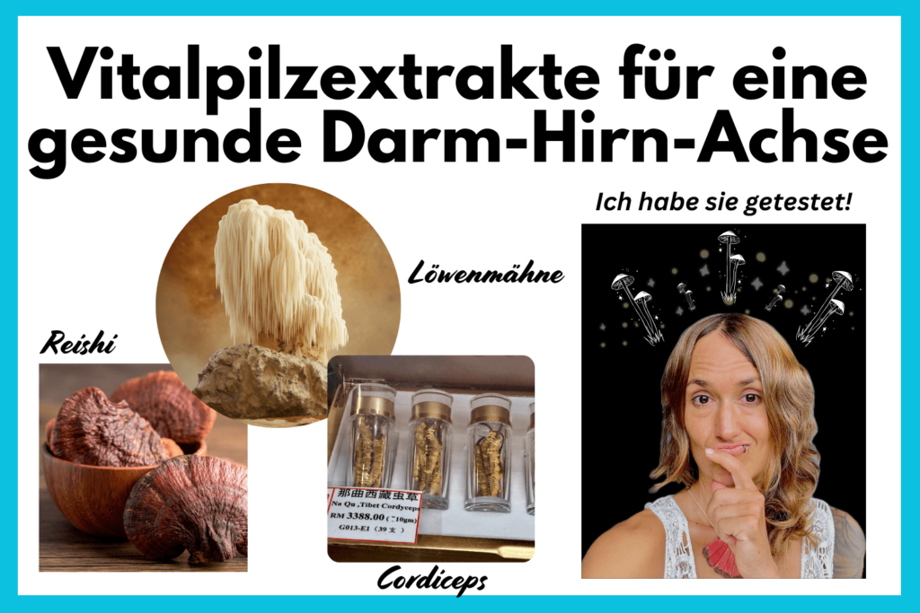 Reishi Cordiceps Löwenmähne