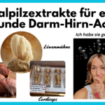 Reishi Cordiceps Löwenmähne