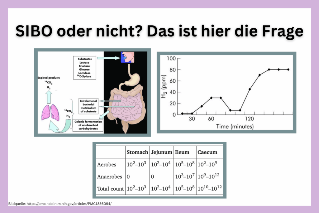 SIBO Test Falschdiagnosen Probleme