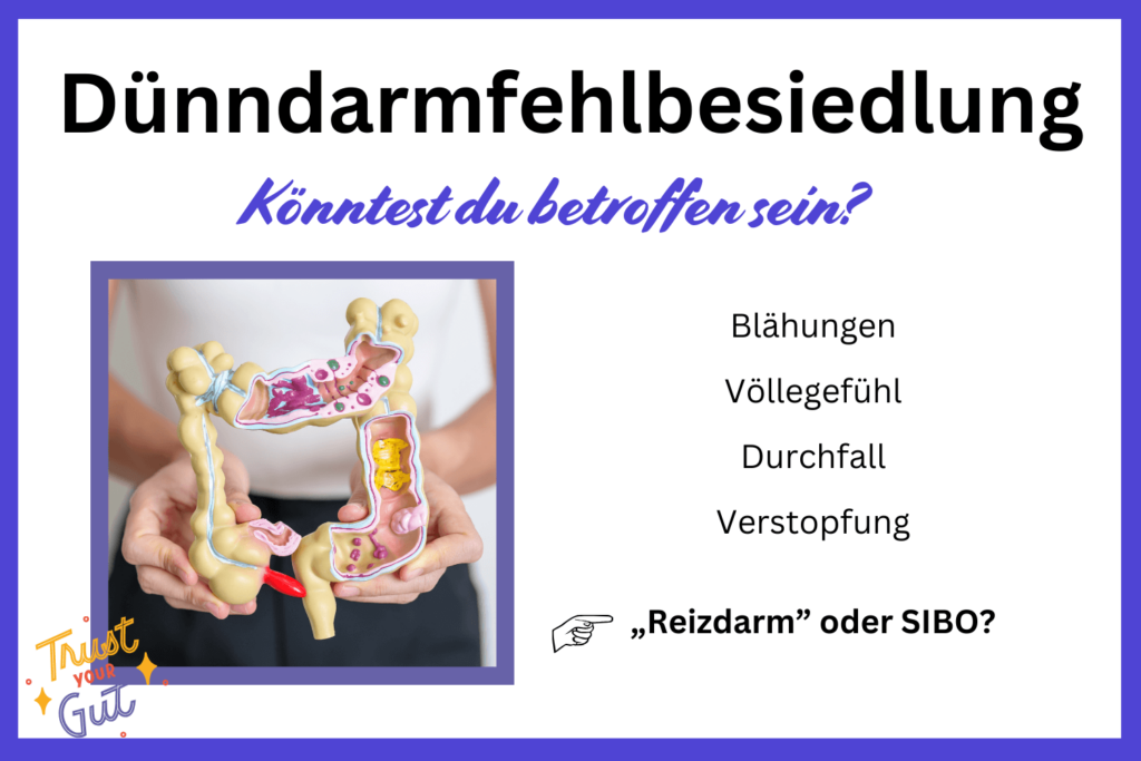 SIBO Dünndarmfehlbesiedlung