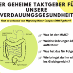 Grafik Magen-Darm-System. Erklärung Artikel-Inhalt.