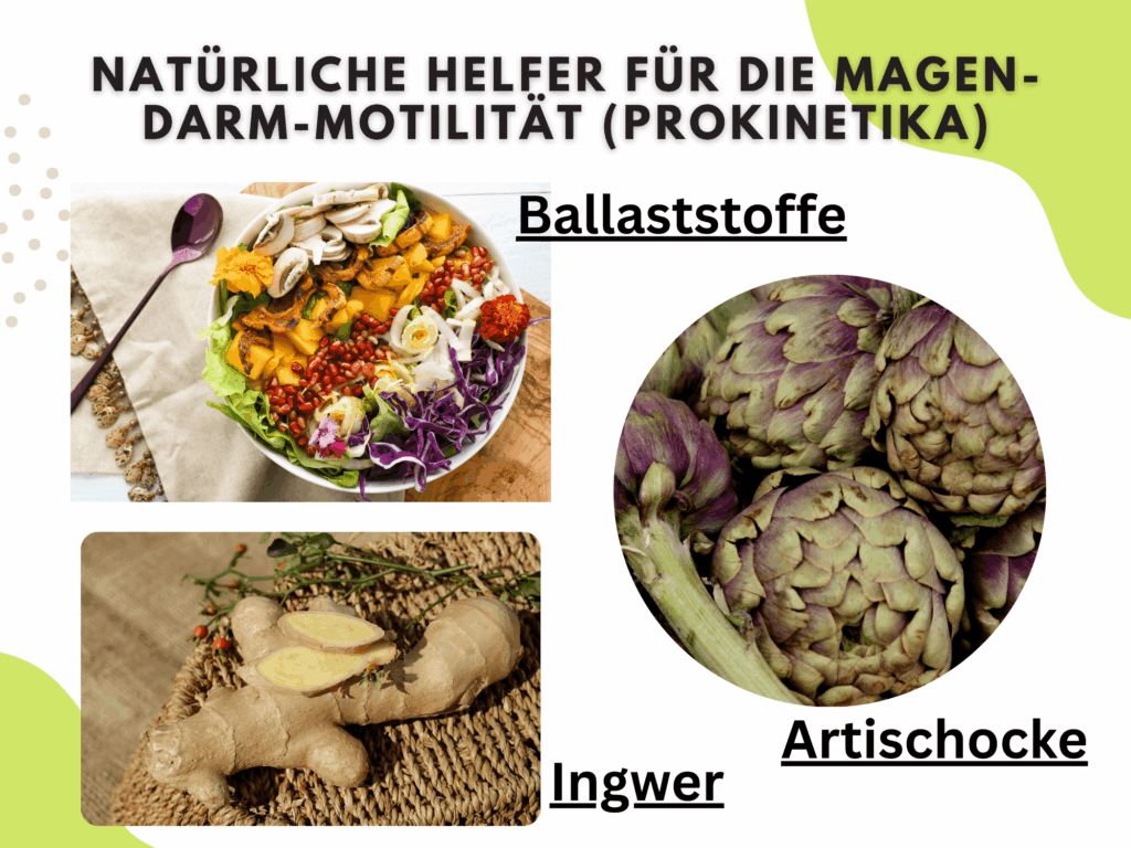 Natürliche Prokinetika Ballaststoffe Ingwer Artischocke