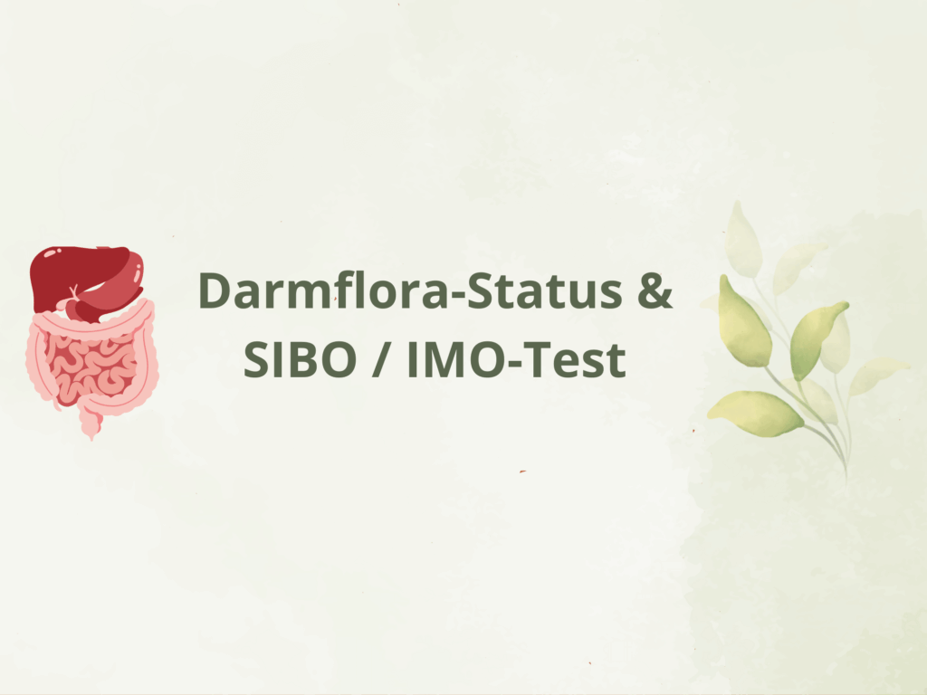 Text: Darmflorastatus & SIBO / IMO-Test