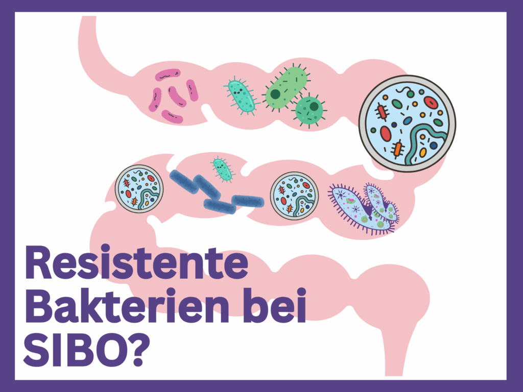 Biofilm-Lösung-bei-SIBO, grafische Darstellung Darm mit Bakterien