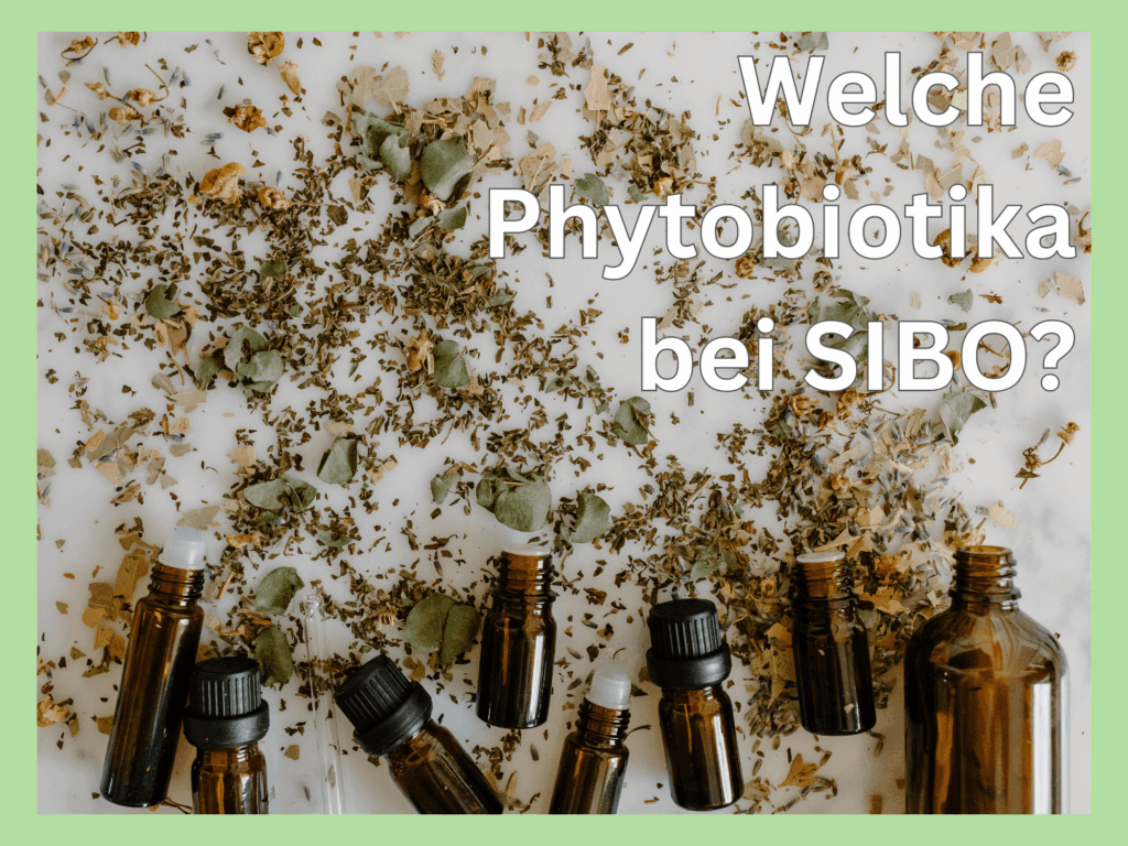 Phytobiotika bei SIBO richtig einsetzen