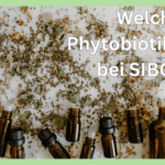 Phytobiotika bei SIBO richtig einsetzen