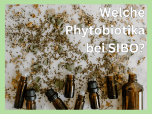 Phytobiotika bei SIBO richtig einsetzen