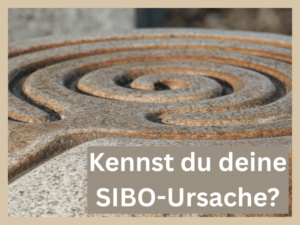 Ursachen von SIBO