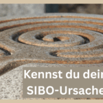 Ursachen von SIBO