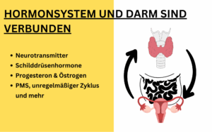 Darm und Hormone Grafik