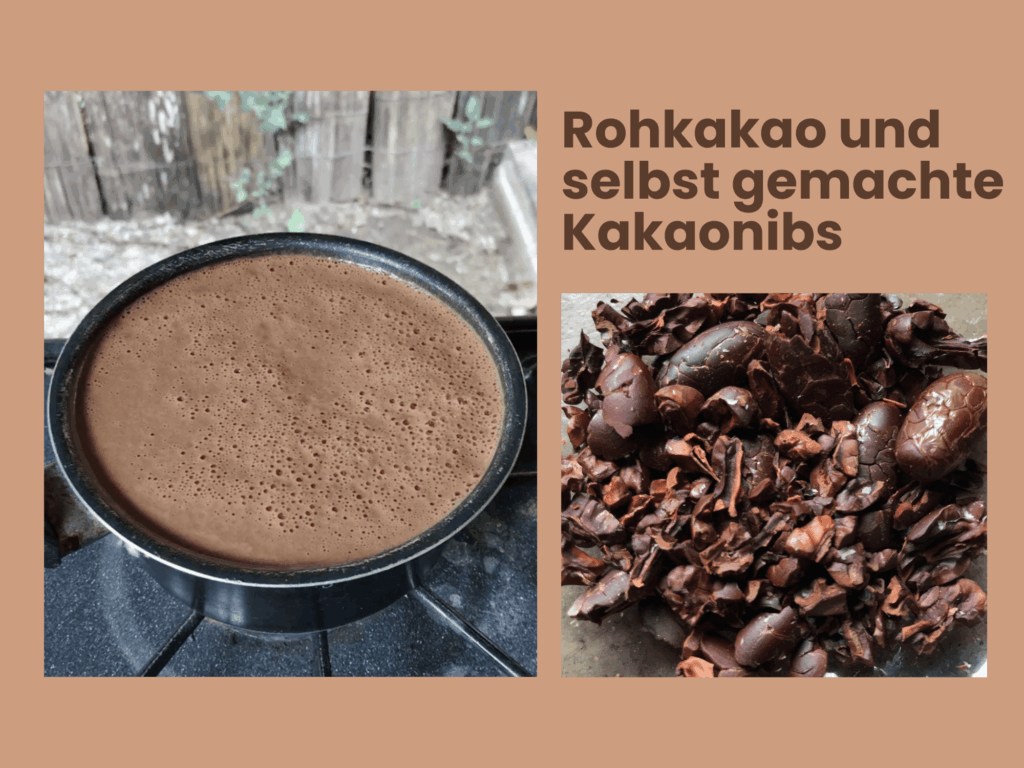 Rohkakao und Kakaonibs