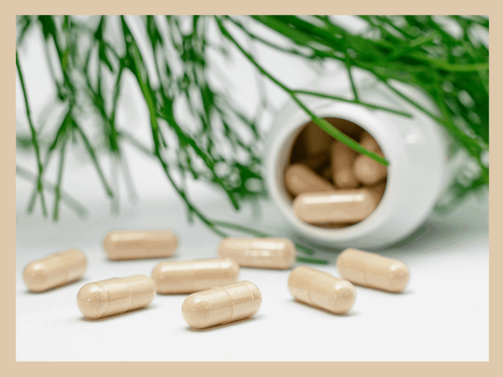 Sind Probiotika hilfreich oder nutzlos?