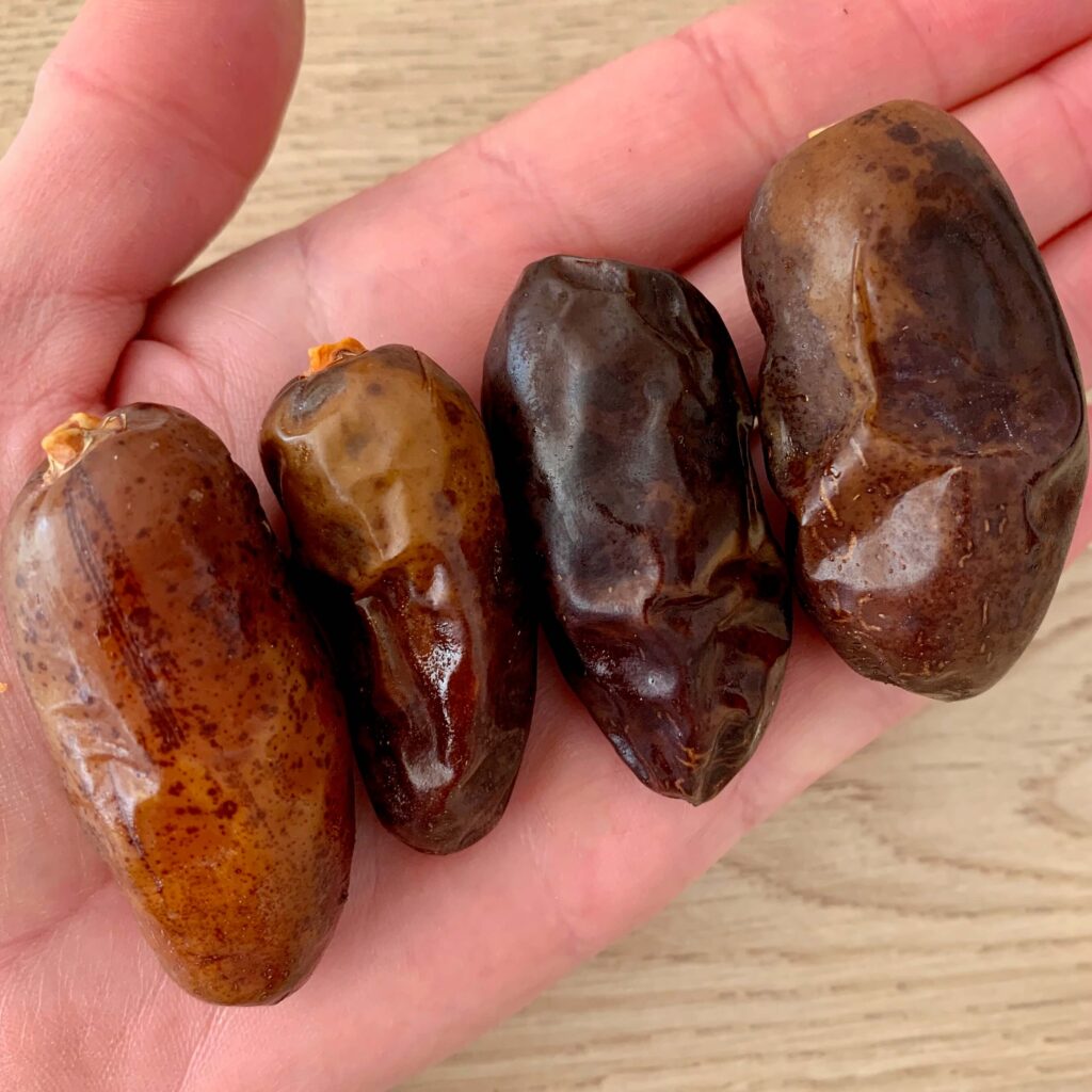 Superfood Datteln selbst gesammelte