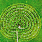 Reizdarm Erfahrungsbericht