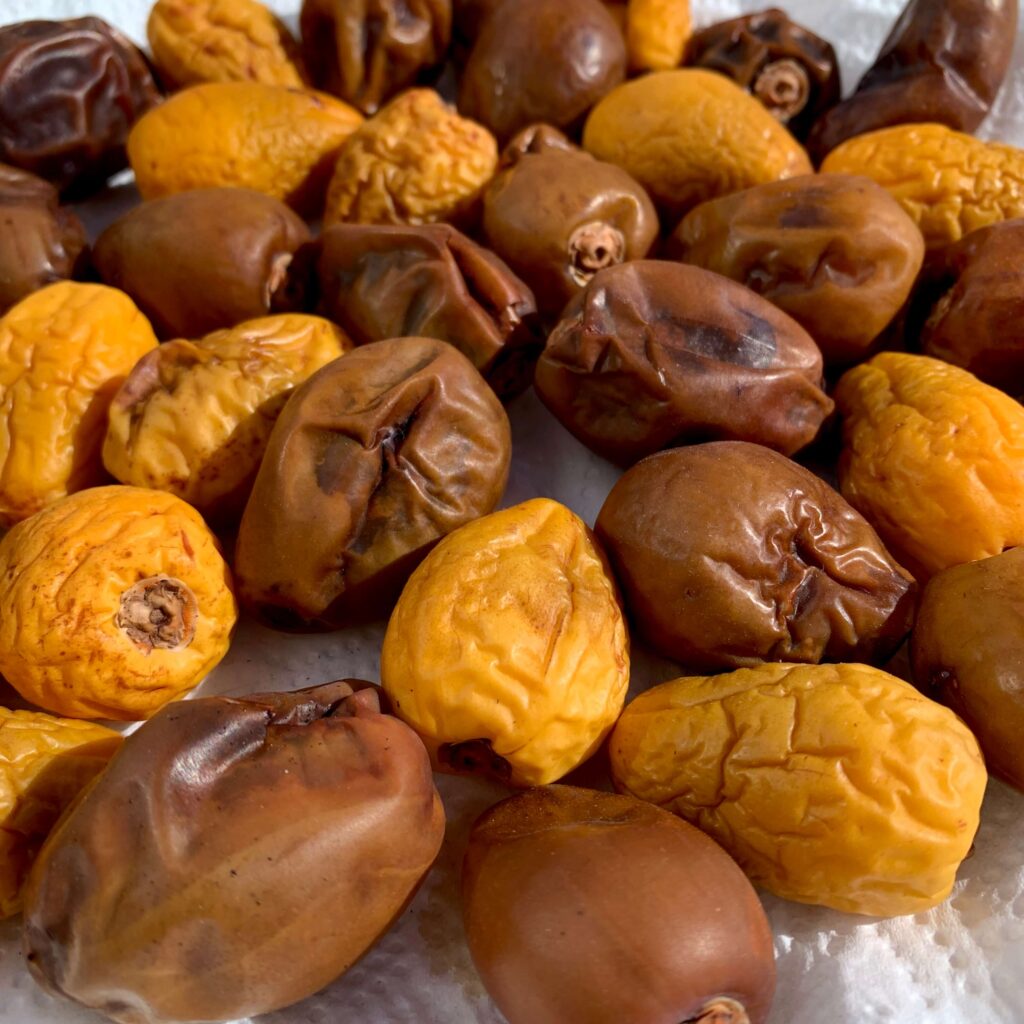 Superfood Dattel trocknen