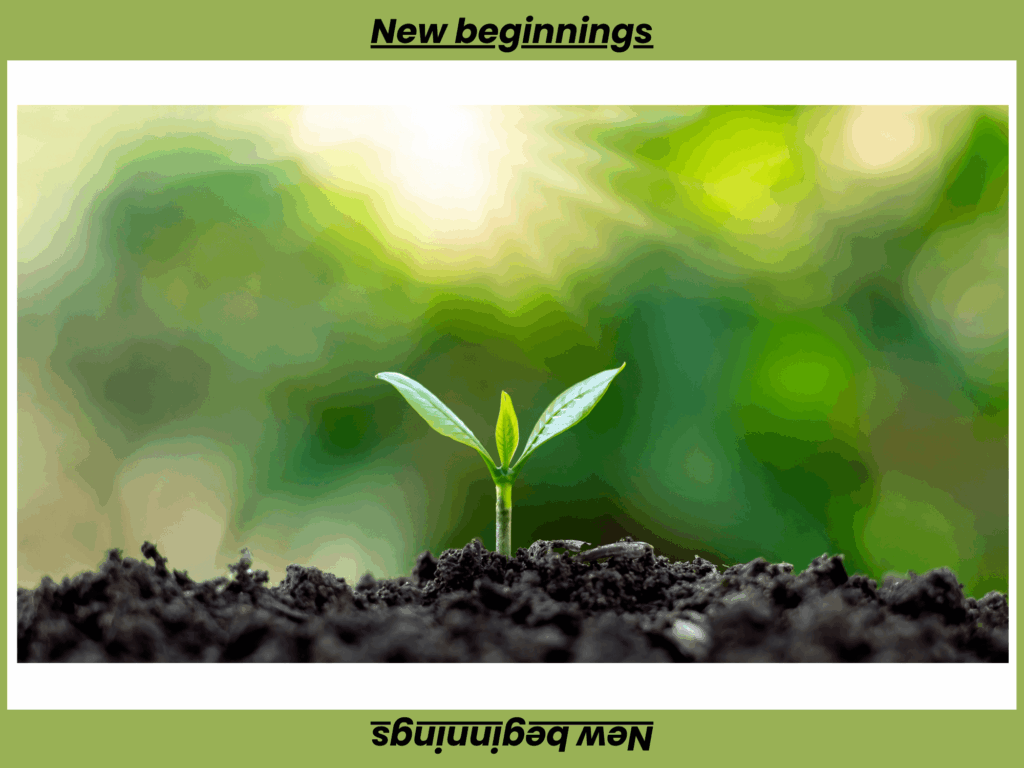 Darm entlasten im neuen Jahr