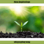 Darm entlasten im neuen Jahr