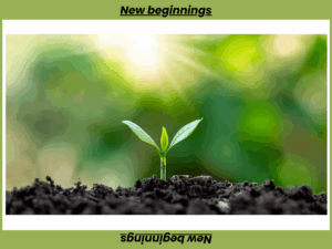 Darm entlasten im neuen Jahr