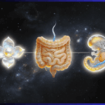 Enterisches Nervensystem