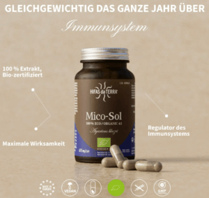 Hifas da terra Mico-Sol Shop