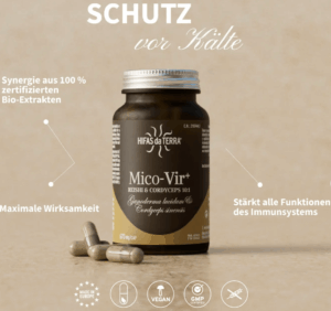 Hifas da Terra Mico Vir Vitalpilzextrakt