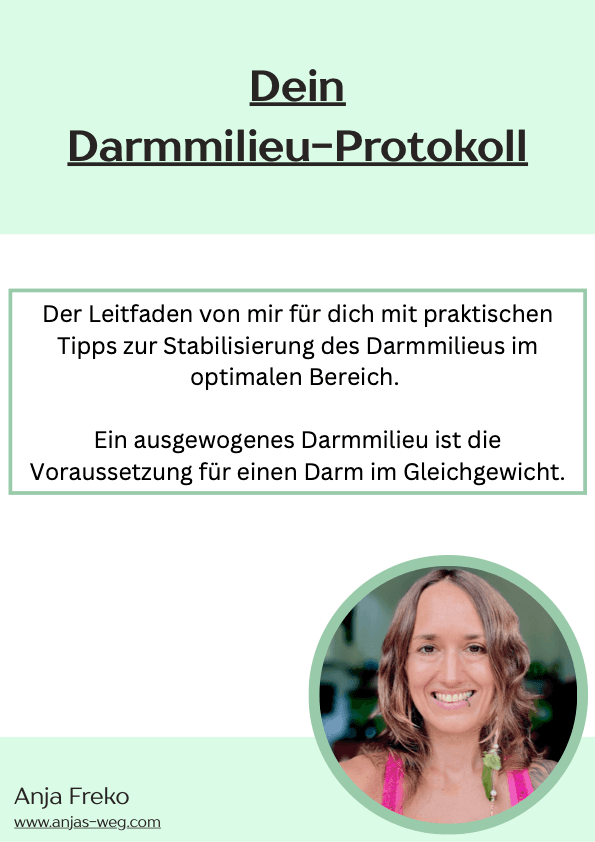 Dein Darmmilieu-Protokoll