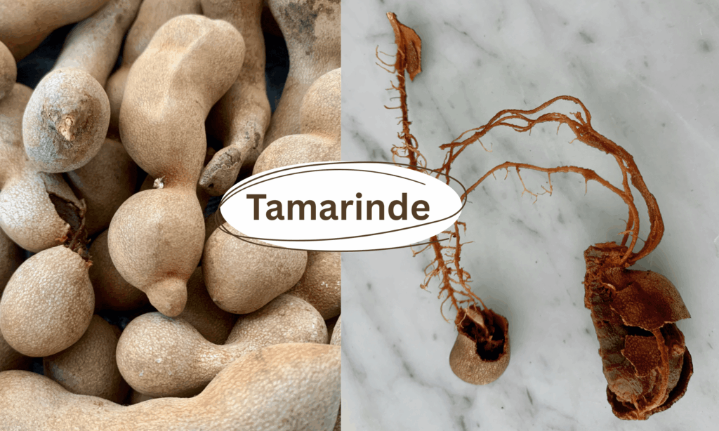 Tamarinde ist gesund