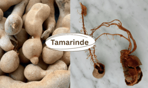 Tamarinde ist gesund