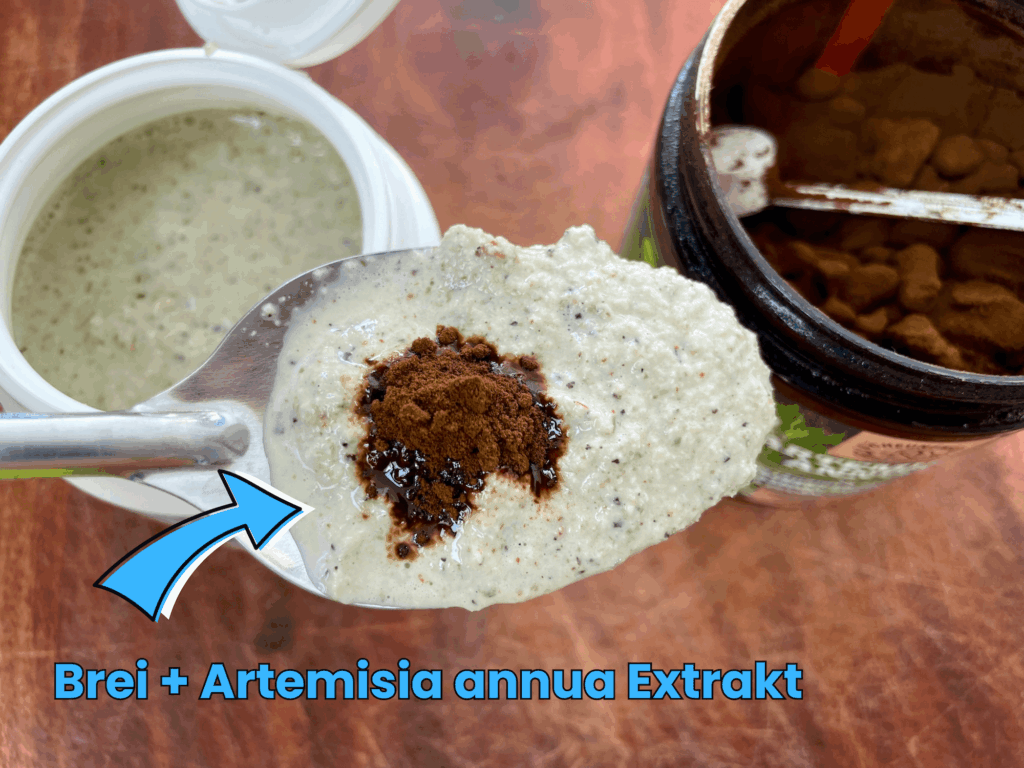Antiparasitäre Ernährung mit Artemisia annua
